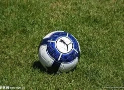 奈特底线快,布朗精准助,空中双臂暴,江南,JN,江南官网,江南体育官网,江南体育下载,江南APP